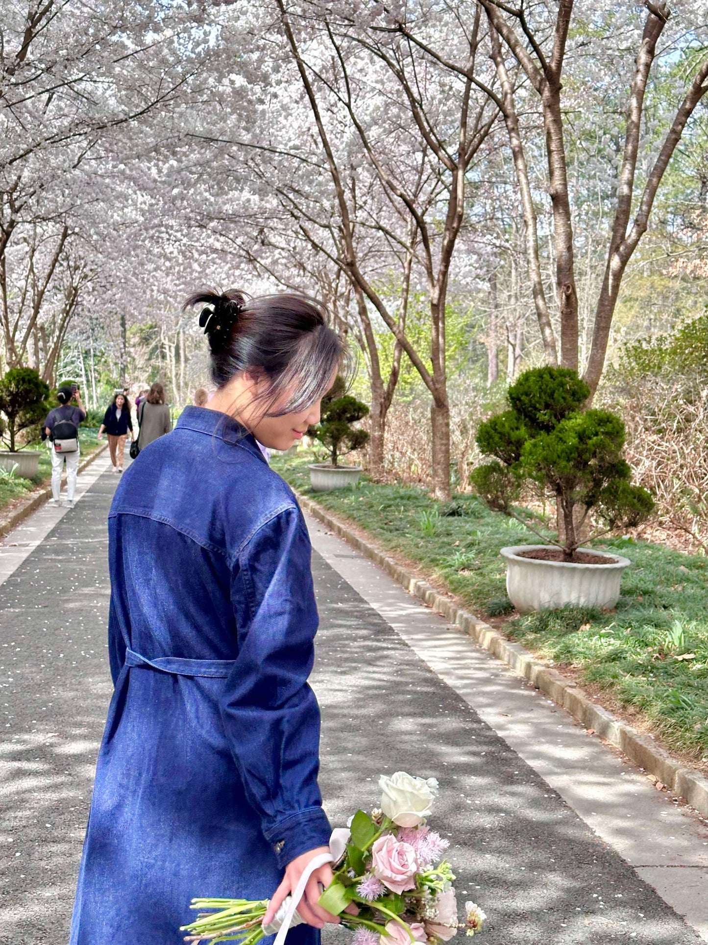 Sakura Whisper