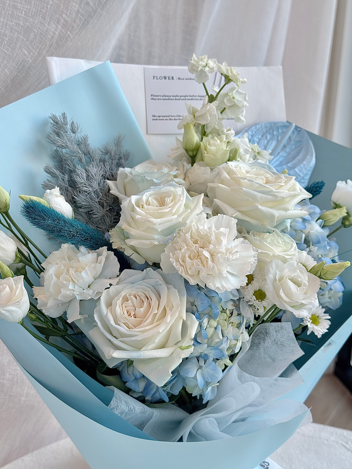 Carolina Blue